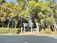 蛭子神社(滋賀県)