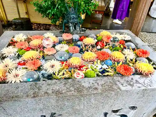 蛇窪神社の手水