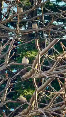 七重浜海津見神社の{uncategorized: "未分類", other: "その他", undefined: "問題あり", building: "その他建物", grave: "お墓", sacred_gate: "鳥居", guardian: "狛犬", statue: "像", buddha: "仏像", history: "歴史", nature: "自然", garden: "庭園", animal: "動物", pagoda: "塔", temizu: "手水舎", mountain_gate: "山門・神門", sanctuary: "本殿・本堂", subordinate: "末社・摂社", art: "芸術", scenery: "景色", jizo: "地蔵", ema: "絵馬", goshuin: "御朱印", omikuji: "おみくじ", items: "授与品その他", amulet: "お守り", goshuincho: "御朱印帳", eats: "食事", festival: "お祭り", votive_dance: "神楽", shichigosan: "七五三参", wedding: "結婚式", experience: "体験その他", initially: "初詣", around: "周辺", anti_infection: "感染症対策"}