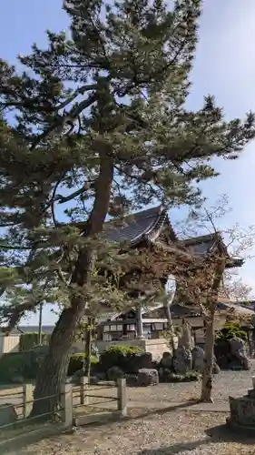 明楽寺(滋賀県)
