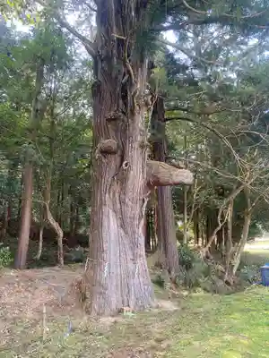 粟鹿神社(兵庫県)