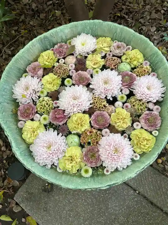 行田八幡神社(埼玉県)