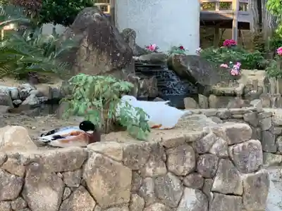 楽法寺（雨引観音）(茨城県)