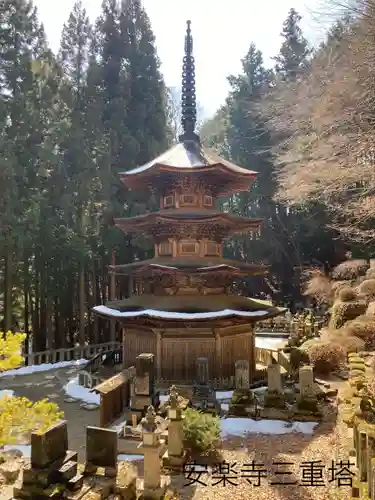 安楽寺の建物その他