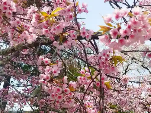 三宝院（三宝院門跡）(京都府)