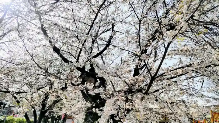 光徳寺(群馬県)