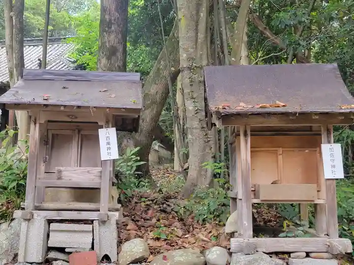 伊豫岡八幡神社(愛媛県)