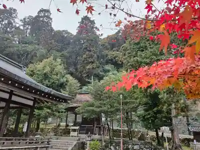 月読神社（松尾大社摂社）(京都府)