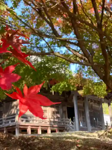 随願寺の本殿・本堂
