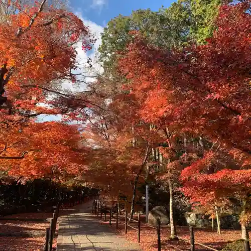 光明寺（粟生光明寺）(京都府)