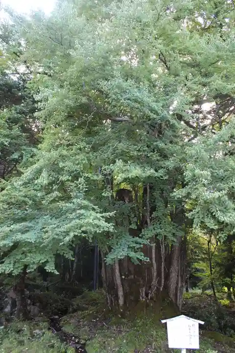 中禅寺(栃木県)
