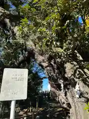 九重神社(埼玉県)