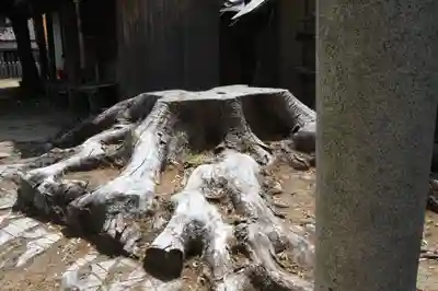 須佐之男神社(奈良県)