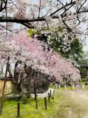 功山寺(山口県)