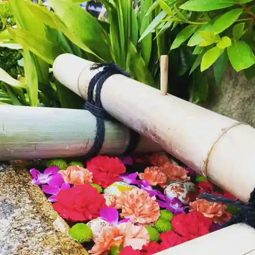 早稲田神社の自然