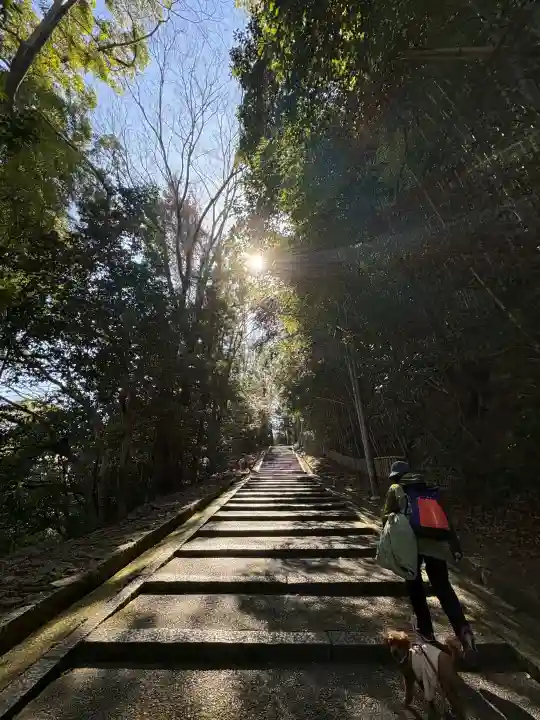 石清水八幡宮の{uncategorized: "未分類", other: "その他", undefined: "問題あり", building: "その他建物", grave: "お墓", sacred_gate: "鳥居", guardian: "狛犬", statue: "像", buddha: "仏像", history: "歴史", nature: "自然", garden: "庭園", animal: "動物", pagoda: "塔", temizu: "手水舎", mountain_gate: "山門・神門", sanctuary: "本殿・本堂", subordinate: "末社・摂社", art: "芸術", scenery: "景色", jizo: "地蔵", ema: "絵馬", goshuin: "御朱印", omikuji: "おみくじ", items: "授与品その他", amulet: "お守り", goshuincho: "御朱印帳", eats: "食事", festival: "お祭り", votive_dance: "神楽", shichigosan: "七五三参", wedding: "結婚式", experience: "体験その他", initially: "初詣", around: "周辺", anti_infection: "感染症対策"}
