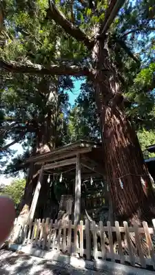 仁科神明宮(長野県)