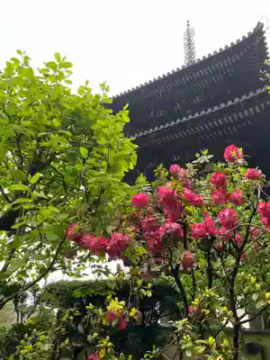 當麻寺 西南院(奈良県)