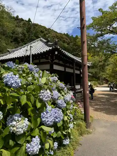 矢田寺(奈良県)