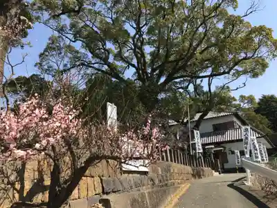 導きの神大牟田熊野神社(福岡県)