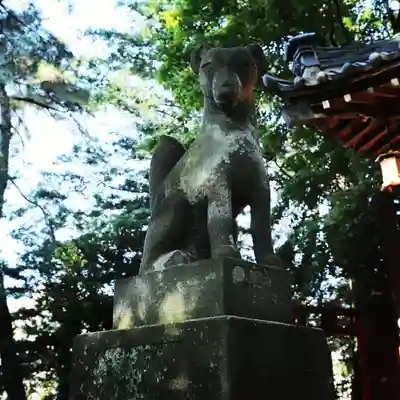 開運招福 飯玉神社の狛犬