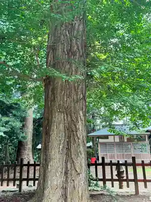 熊野神社(宮城県)