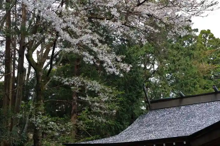 王宮伊豆神社の自然