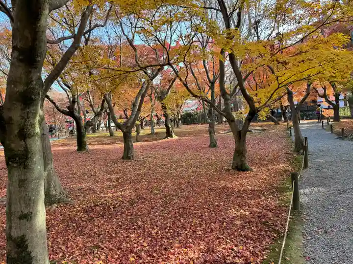 東福禅寺(東福寺)(京都府)