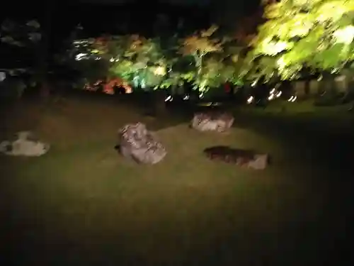 高台寺（高台寿聖禅寺・高臺寺）(京都府)