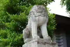 開成山大神宮の狛犬