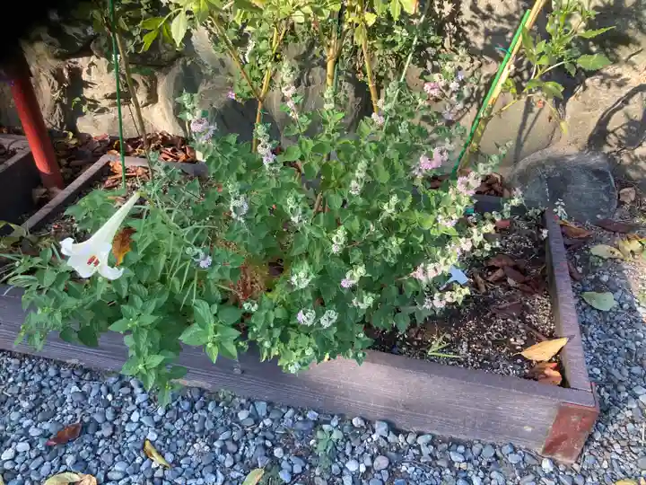 大船観音寺(神奈川県)