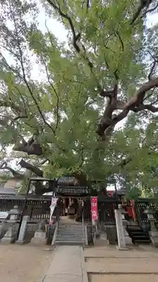 三島神社(大阪府)