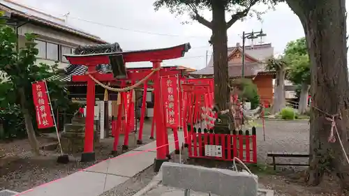 於菊稲荷神社の鳥居