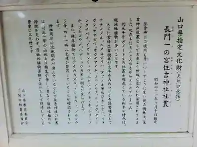 住吉神社の歴史