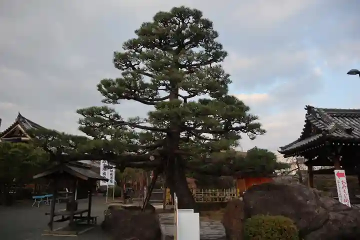 総持寺(大阪府)
