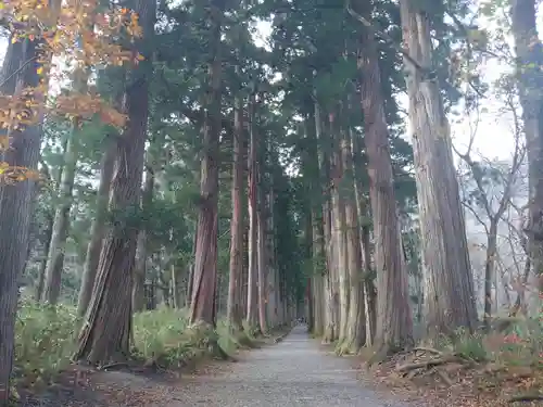 戸隠神社奥社の周辺