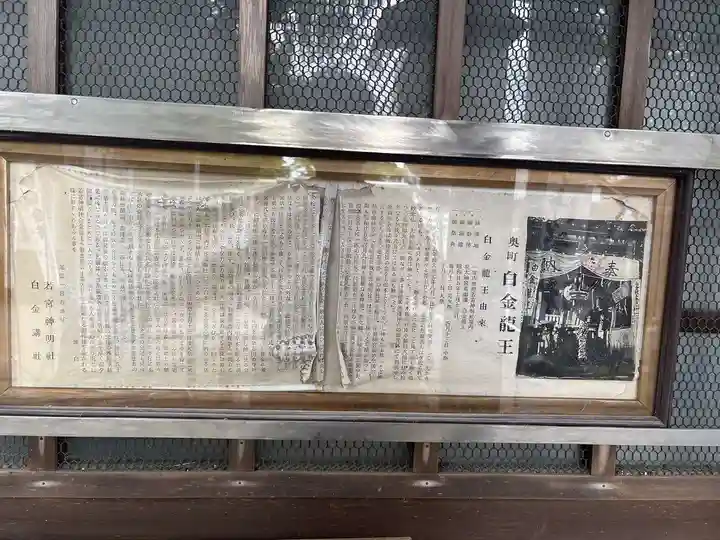 白金龍王社(愛知県)