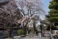本覚寺(神奈川県)