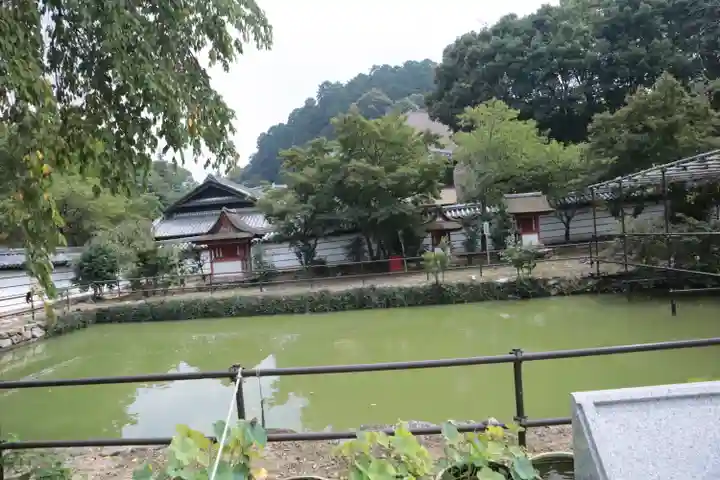 金剛寺(大阪府)