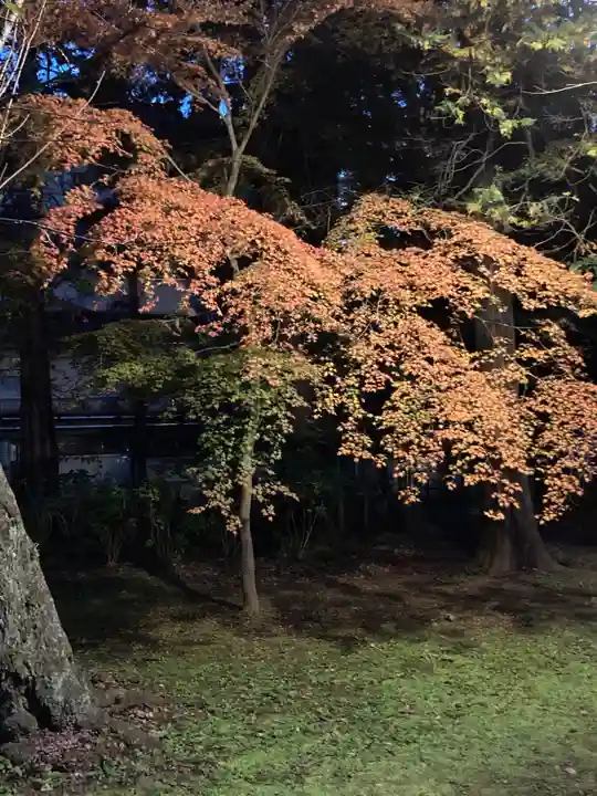 東漸寺(千葉県)