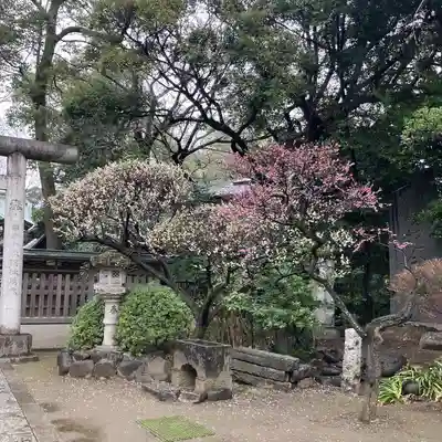 大鷲神社(東京都)