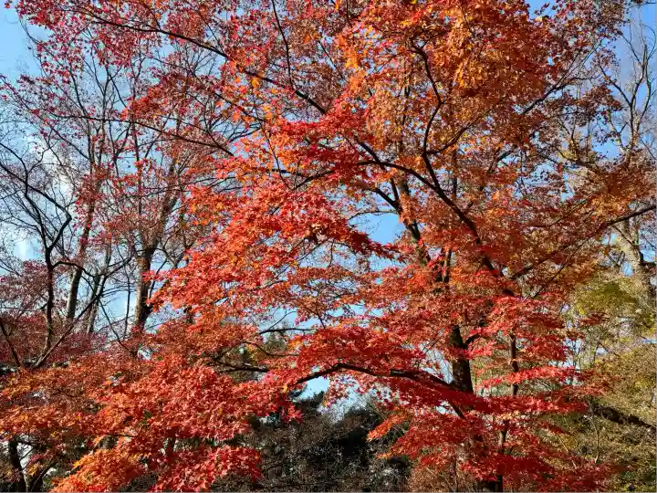 北野天満宮(京都府)
