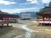 厳島神社の{uncategorized: "未分類", other: "その他", undefined: "問題あり", building: "その他建物", grave: "お墓", sacred_gate: "鳥居", guardian: "狛犬", statue: "像", buddha: "仏像", history: "歴史", nature: "自然", garden: "庭園", animal: "動物", pagoda: "塔", temizu: "手水舎", mountain_gate: "山門・神門", sanctuary: "本殿・本堂", subordinate: "末社・摂社", art: "芸術", scenery: "景色", jizo: "地蔵", ema: "絵馬", goshuin: "御朱印", omikuji: "おみくじ", items: "授与品その他", amulet: "お守り", goshuincho: "御朱印帳", eats: "食事", festival: "お祭り", votive_dance: "神楽", shichigosan: "七五三参", wedding: "結婚式", experience: "体験その他", initially: "初詣", around: "周辺", anti_infection: "感染症対策"}