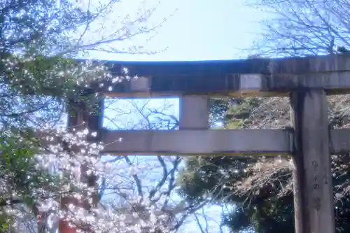 上野東照宮(東京都)