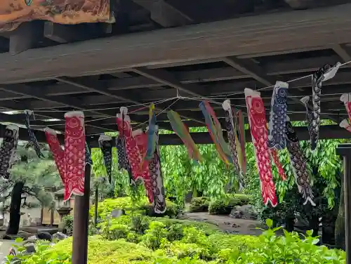 日蓮宗　浄運寺の{uncategorized: "未分類", other: "その他", undefined: "問題あり", building: "その他建物", grave: "お墓", sacred_gate: "鳥居", guardian: "狛犬", statue: "像", buddha: "仏像", history: "歴史", nature: "自然", garden: "庭園", animal: "動物", pagoda: "塔", temizu: "手水舎", mountain_gate: "山門・神門", sanctuary: "本殿・本堂", subordinate: "末社・摂社", art: "芸術", scenery: "景色", jizo: "地蔵", ema: "絵馬", goshuin: "御朱印", omikuji: "おみくじ", items: "授与品その他", amulet: "お守り", goshuincho: "御朱印帳", eats: "食事", festival: "お祭り", votive_dance: "神楽", shichigosan: "七五三参", wedding: "結婚式", experience: "体験その他", initially: "初詣", around: "周辺", anti_infection: "感染症対策"}