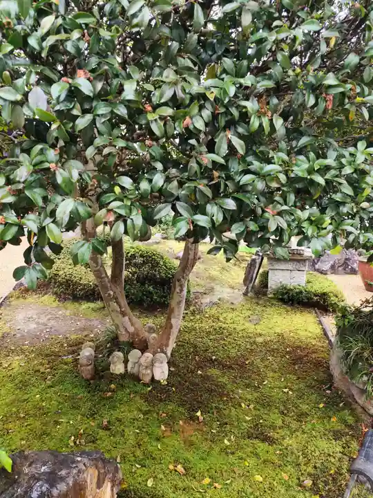 歓喜院(兵庫県)