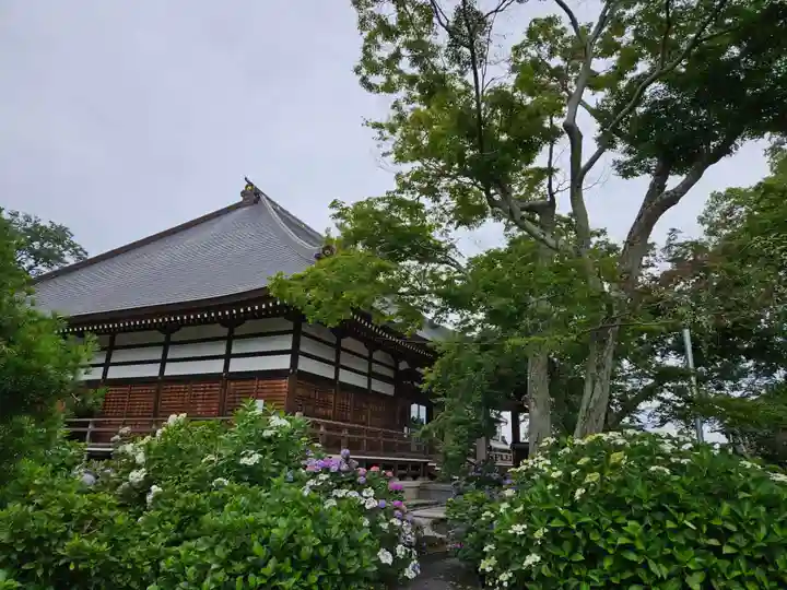 能護寺(埼玉県)