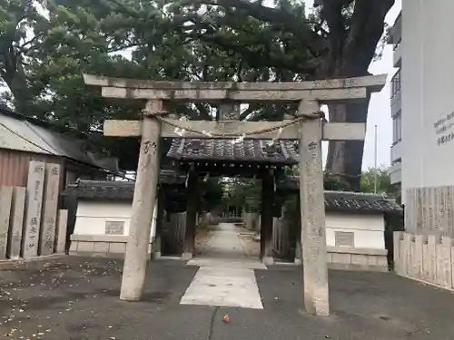 阿麻美許曽神社の鳥居