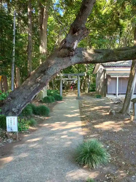 香取神社の{uncategorized: "未分類", other: "その他", undefined: "問題あり", building: "その他建物", grave: "お墓", sacred_gate: "鳥居", guardian: "狛犬", statue: "像", buddha: "仏像", history: "歴史", nature: "自然", garden: "庭園", animal: "動物", pagoda: "塔", temizu: "手水舎", mountain_gate: "山門・神門", sanctuary: "本殿・本堂", subordinate: "末社・摂社", art: "芸術", scenery: "景色", jizo: "地蔵", ema: "絵馬", goshuin: "御朱印", omikuji: "おみくじ", items: "授与品その他", amulet: "お守り", goshuincho: "御朱印帳", eats: "食事", festival: "お祭り", votive_dance: "神楽", shichigosan: "七五三参", wedding: "結婚式", experience: "体験その他", initially: "初詣", around: "周辺", anti_infection: "感染症対策"}