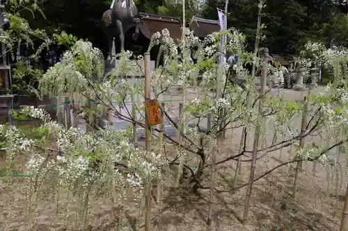 志那神社(滋賀県)